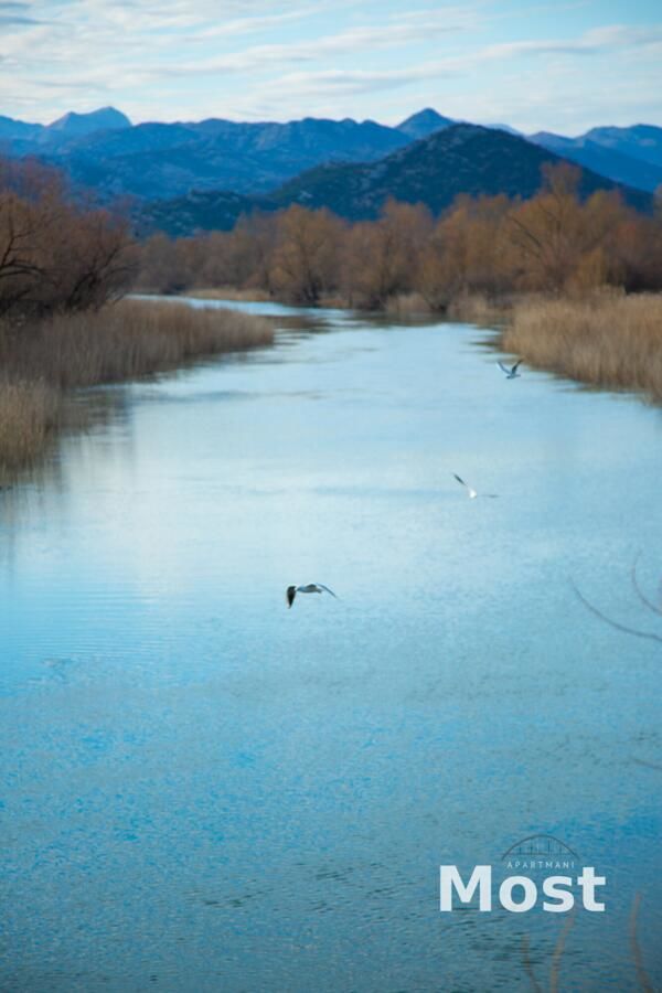 Апартаменты Apartmani Most Цетине-20