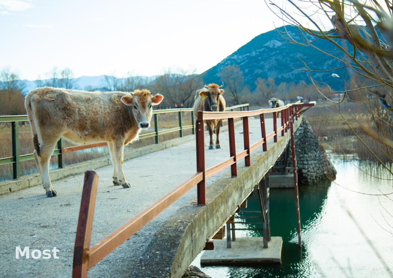 Апартаменты Apartmani Most Цетине-24