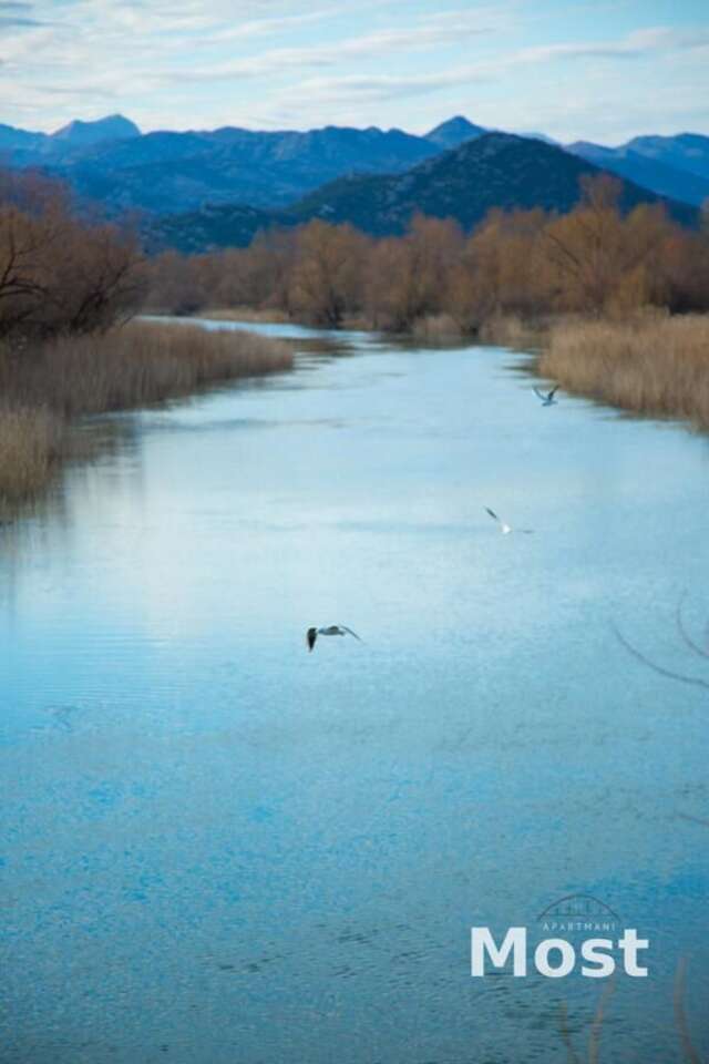 Апартаменты Apartmani Most Цетине-19