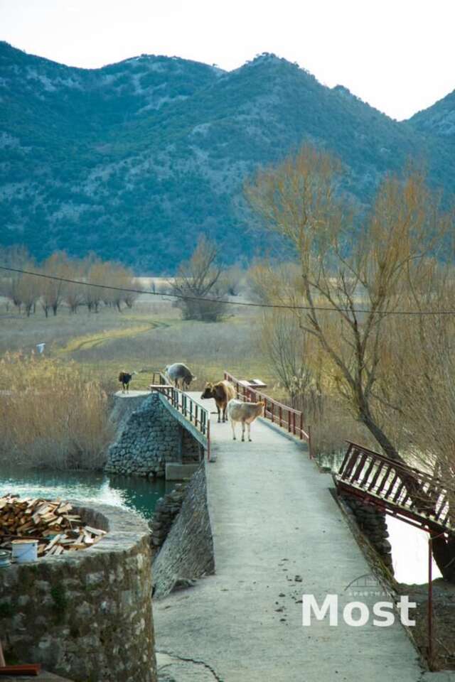 Апартаменты Apartmani Most Цетине-21