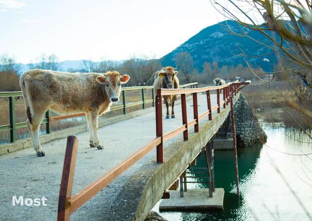 Апартаменты Apartmani Most Цетине-23